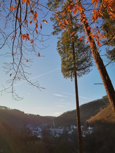 a view of a city from between two trees at Ferienwohnung EG AusZeit in Bad Bertrich
