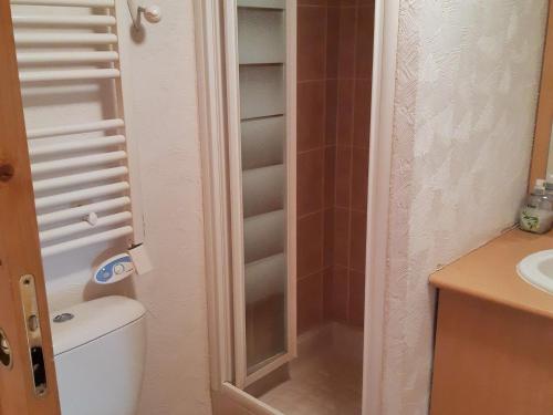 une salle de bain avec toilettes et lavabo dans l'établissement Charmant 3 pièces 6 pers proche pistes avec balcon - FR-1-516-11, à Les Deux Alpes