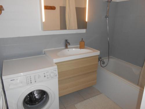 une salle de bain avec une machine à laver et un lavabo dans l'établissement Appartement cozy au pied des pistes avec balcon, parking, et animaux admis - FR-1-516-31, à Les Deux Alpes