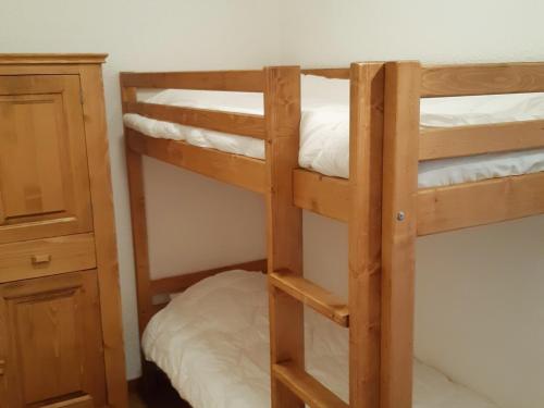 Appartement pour 6 au pied des pistes au centre des Deux Alpes