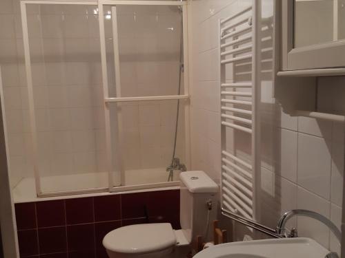 a small bathroom with a toilet and a shower at Charmant 3 pièces aux Deux Alpes, proche pistes, animaux acceptés - FR-1-516-98 in Les Deux Alpes