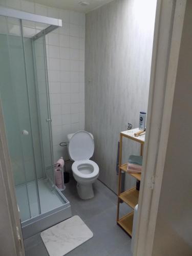 une salle de bain avec toilettes et douche en verre dans l'établissement Charmante maison, à Bohain-en-Vermandois