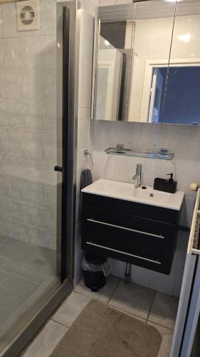 a bathroom with a sink and a shower at Huuske van Nijholt in Veulen