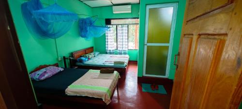 two beds in a room with green walls at Tony's Garden House Back Packers inn in Jaffna