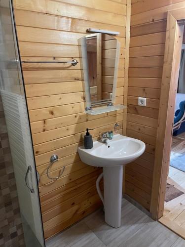 a bathroom with a sink and a mirror at Chalet Sofia in Borovets
