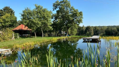 a small lake with a dock and a house at Agroturystyka Złoty Klon Drewniany Domek in Kijanka