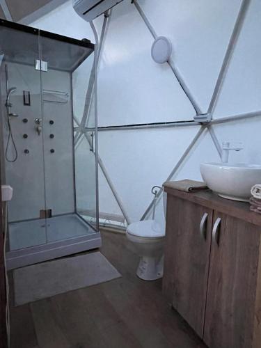 a bathroom with a shower and a sink and a toilet at Transylvania WINE in Turda