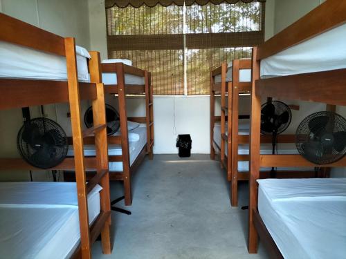 Lliteres en una habitació de Nómadas Hostel