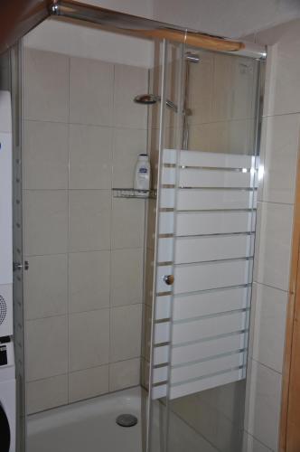 eine Dusche mit Leiter im Bad in der Unterkunft Ferienwohnung Edelweiss, in Splügen