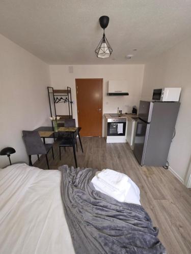 Cette chambre comprend un lit, une table et une cuisine. dans l'établissement studio cactus, à Mulhouse