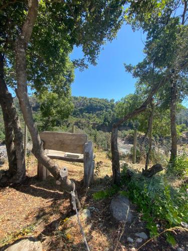 a wooden bench sitting in the shade of trees at Cabañas Cocodrilo Lodge in Molina