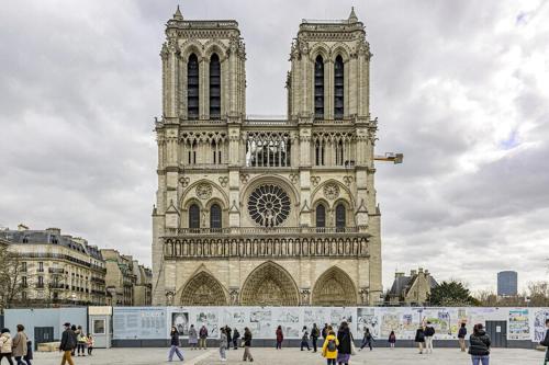 Lovely studio next to Notre-Dame