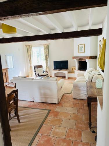 a living room with a couch and a fireplace at Le Petit Usar in Loubens