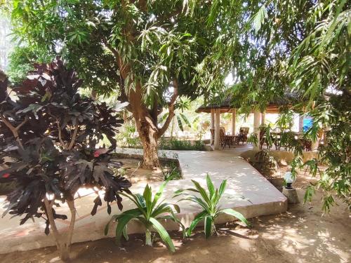 Κήπος έξω από το Le jardin de Adja