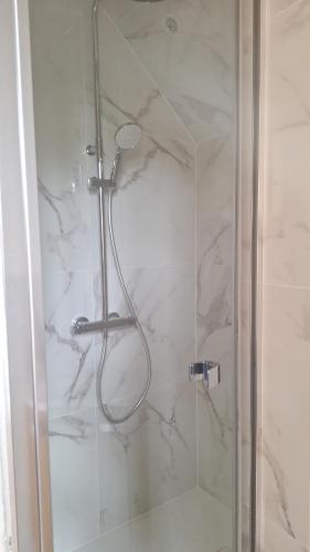 a shower with a glass door in a bathroom at Chambre Océan, parking gratuit et jardin in Besançon
