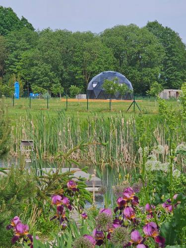 a garden with a blue tent in a field at Vaitų Riešutynė - Small shipping container house in Antanava