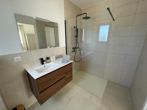une salle de bain avec un lavabo et une douche avec un miroir dans l'établissement Magnifique appartement T2, à Cuttoli-Corticchiato