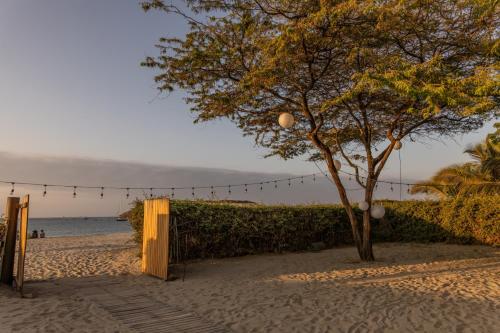 a tree on the beach next to a fence at Soleil Bungalows in Los Órganos