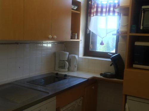 Kuchyň nebo kuchyňský kout v ubytování Studio Cabine 33m² – Pied des Pistes, Balcon Sud, Animaux Admis - FR-1-515-79