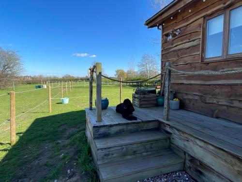 a black cat sitting on a wooden porch of a cabin at The Goose lodge in Calveley