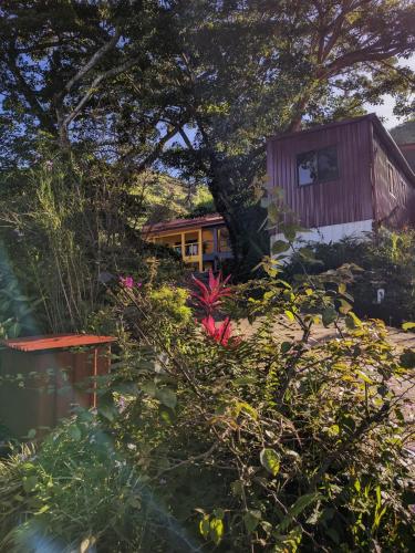 a small house in the middle of a garden at Vista Mundo Centrar in San Ramón