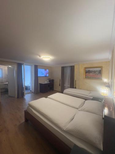 a hotel room with two beds and a television at Esos Hotel Quelle in Bad Ragaz