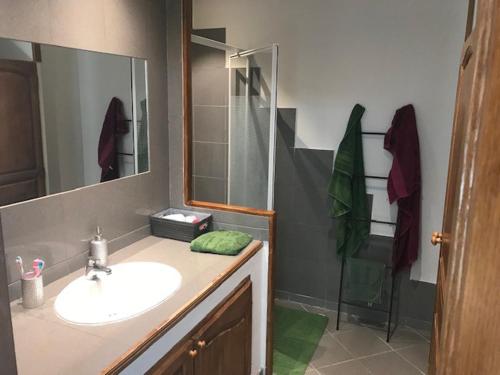 une salle de bain avec un lavabo et une douche dans l'établissement Trés beau loft Loft 70m2, à Avignon