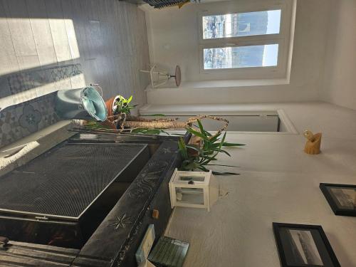 Il comprend une cuisine équipée d'une cuisinière et d'un évier avec une fenêtre. dans l'établissement Appartement sur le port, à Saint-Florent