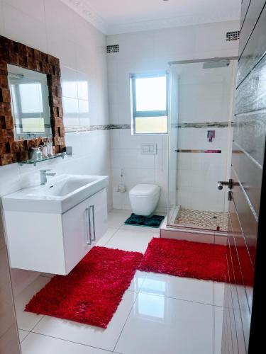 a bathroom with a sink and a shower and a red rug at Ambience on N2 Boutique Hotel in Kokstad