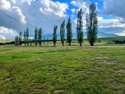 a row of trees in a field of grass at Ambience on N2 Boutique Hotel in Kokstad