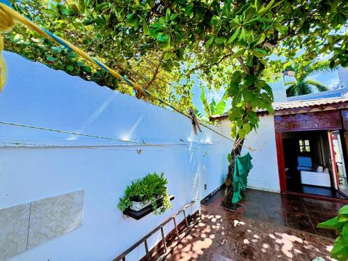 Κήπος έξω από το Auaecoco Hotel