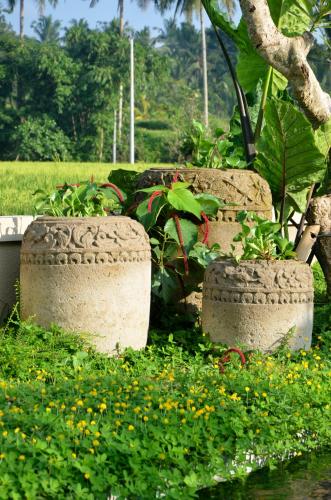 Un jardín fuera de Ubud Virgin Villa