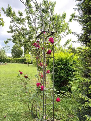 a rose bush with pink flowers in a garden at Ciliegio in Pavia dʼUdine