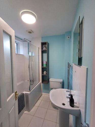 a bathroom with a sink and a shower and a toilet at Old Tavern House in Fortrose