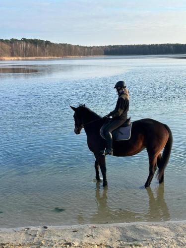 a person riding a horse in the water at EkoZagroda in Skrzyneczki