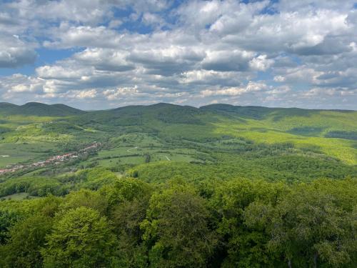 an aerial view of a valley with trees and mountains at Kiskörtés Vendégház Óhuta in Háromhuta