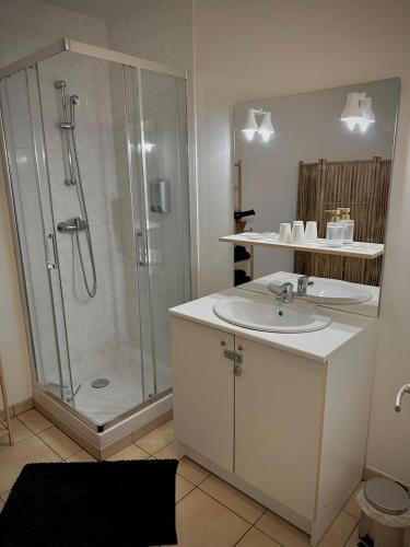 Bilik mandi di Appartement L Escale à Tillé