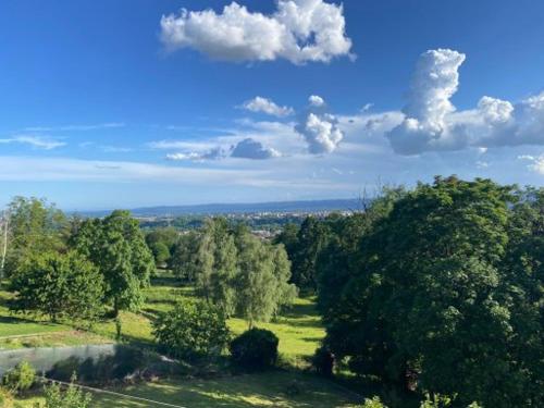 an overhead view of a field with trees and clouds at B&B Monte Bo Biella in Biella