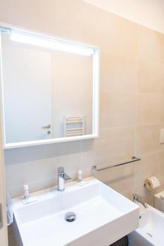 Charming & Modern Apartment near Santo Spirito
