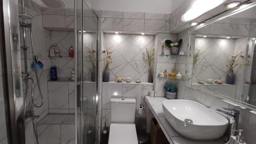 a bathroom with a shower and a toilet and a sink at Cozy γωνιά στο χωριό in Lianokládhion