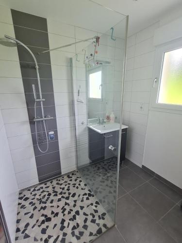 une salle de bain avec douche et lavabo dans l'établissement La Maison de choupette, à Fougerolles