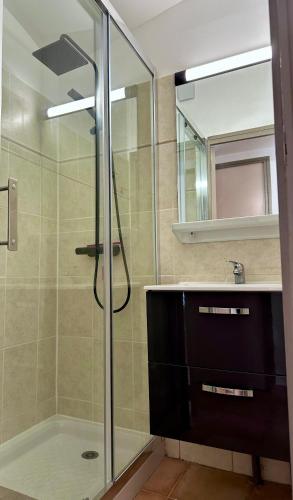 une salle de bain avec une douche, un lavabo et un miroir dans l'établissement village vacances du camboussel, à Brassac