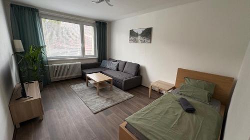a living room with a bed and a couch at apartmán pod turbínou in Loučná nad Desnou