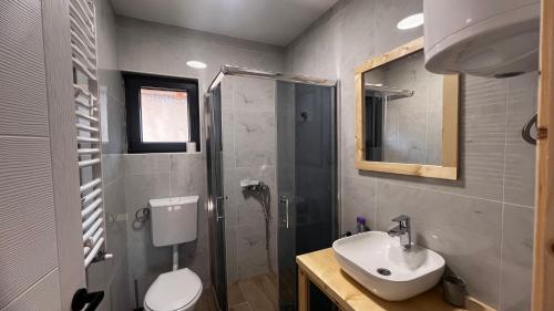 a bathroom with a toilet and a sink and a shower at Planinska koliba Dada in Popovići