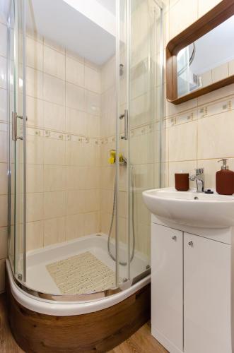 a bathroom with a shower and a sink at Dwa Koty in Sosnowiec