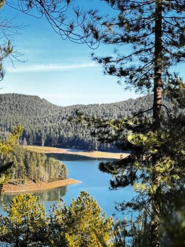 a view of a lake through the trees at Chalet Lawà in Torre Caprara
