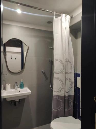 Nice portion of property apartment near P Santo Spirito