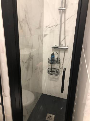 La salle de bains est pourvue d'une porte de douche en verre et de toilettes. dans l'établissement Lovely cozy studio, à Nice