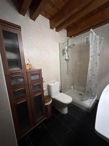a bathroom with a toilet and a shower at Lo somni del riu in Llavorsí