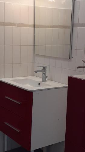 une salle de bain avec un lavabo et un miroir dans l'établissement Appartement 30 m2 - 2 pers - Plein sud - 1er étage, à Tarbes